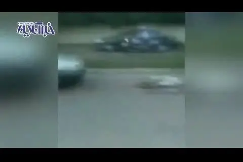 زن جوان با ماشین همسرش را زیر کرد! + ویدئو