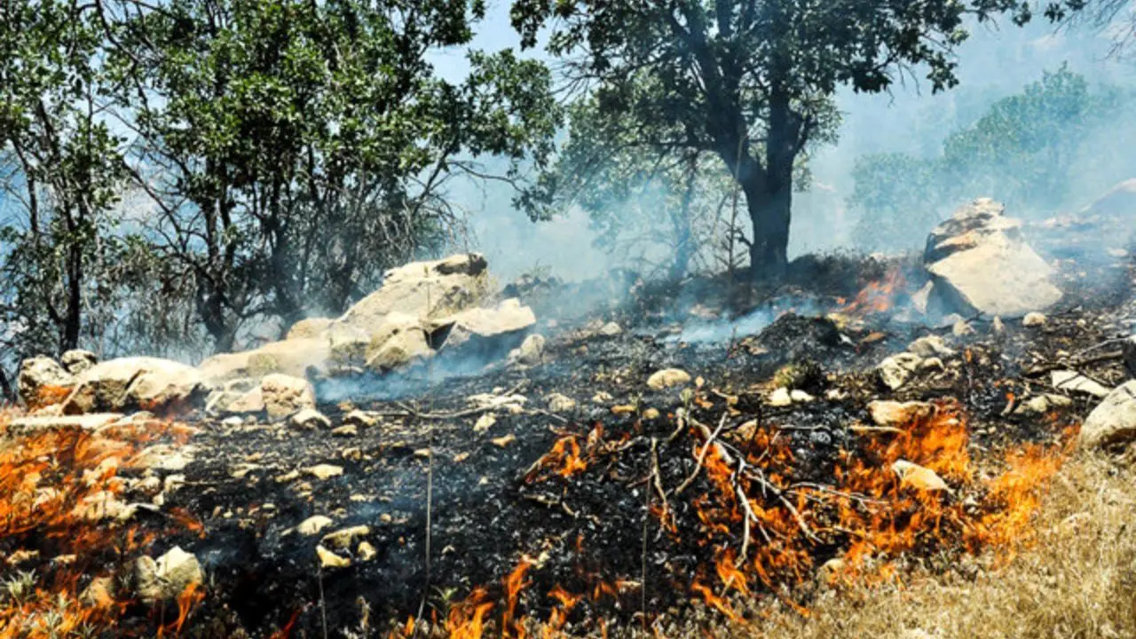 آتش سوزی جنگل‌های عباس آباد مهار شد