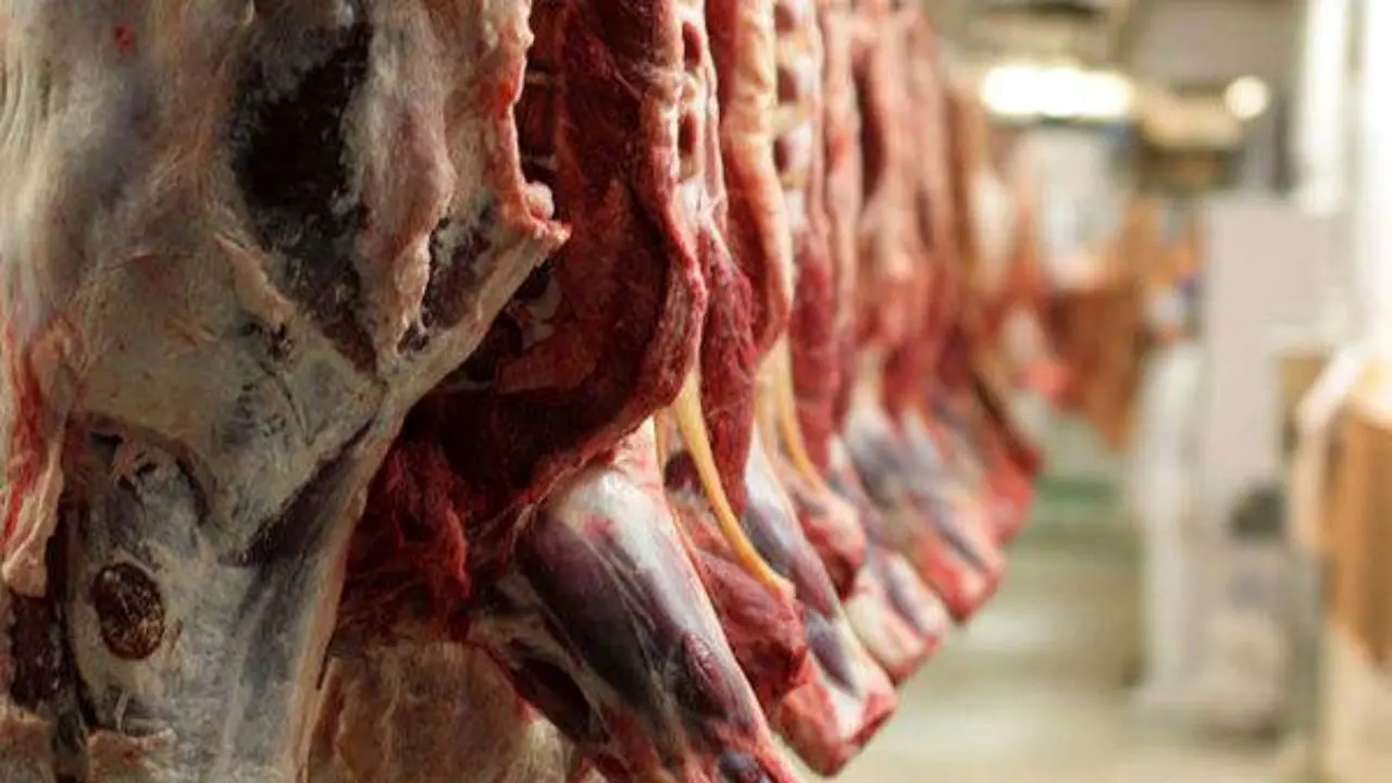 عدم بازگشت سرمایه شرکت‌های توزیع گوشت وارداتی به دولت