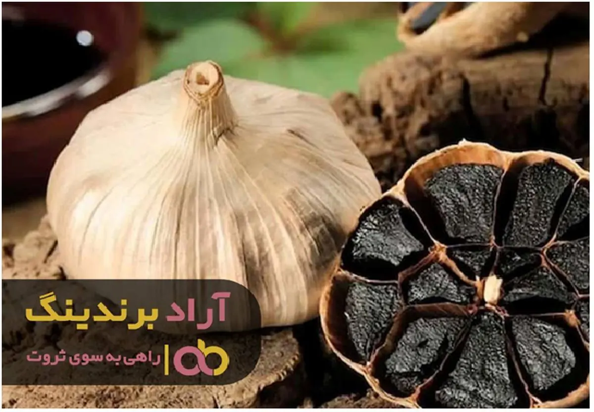 سیر سیاه اصفهان درجه یک نایاب شد