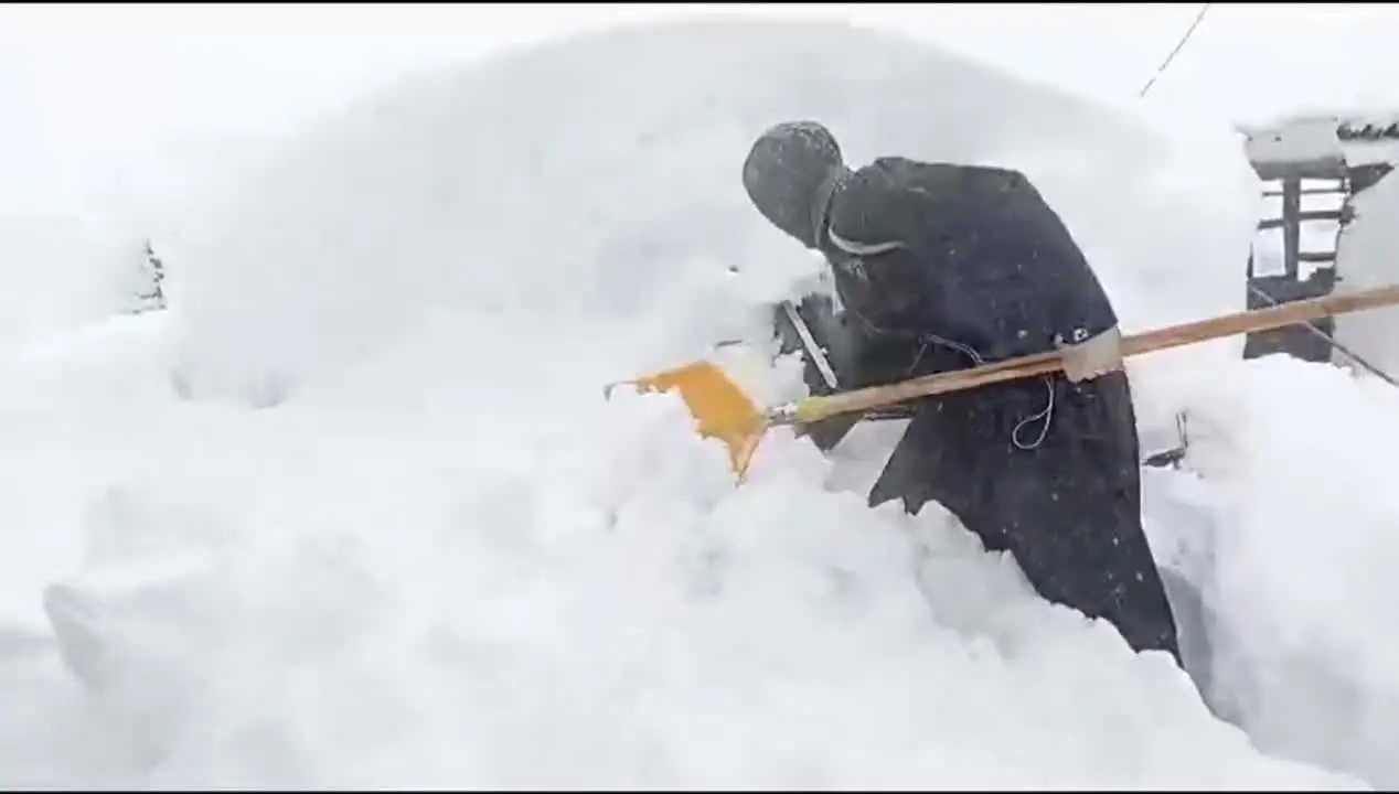 ببینید| دفن شدن خودروها زیر برف در بانه