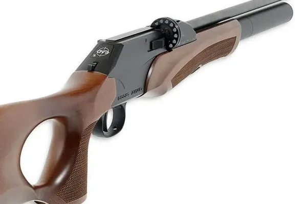 مقتول به خواهرم تجاوز کرد، او را کشتم