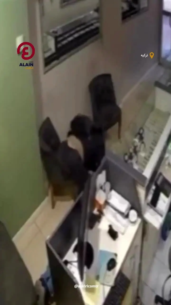 ببینید| دزدی ۴ دقیقه‌ای، مغازه طلافروشی را جارو کرد!