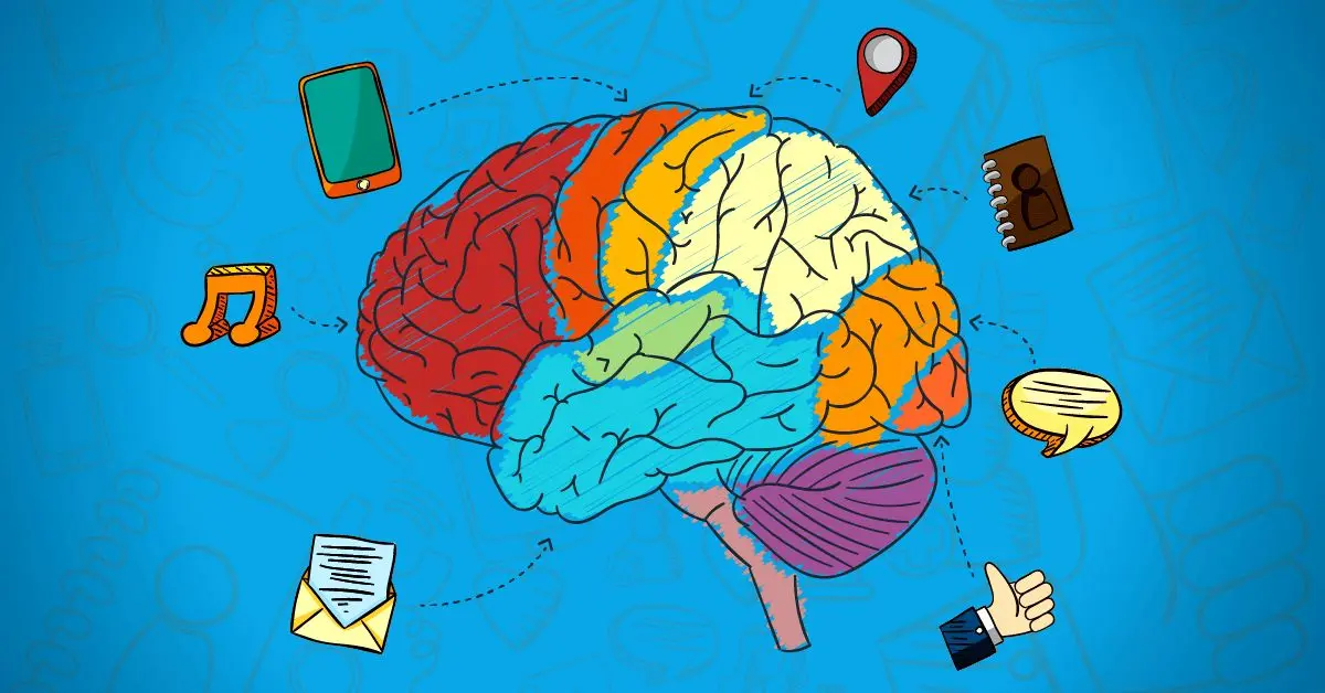 اجتماعي،مغز،عصبي،تأثير،انسان،مداوم،محتواي،اطلاعات،توجه،هيجان ...