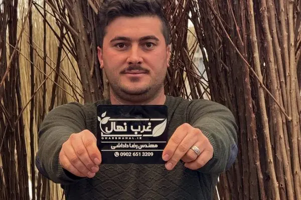 عرضه نهال یارانه‌ای یکساله فقط ۷ هزار تومان (ظرفیت محدود)