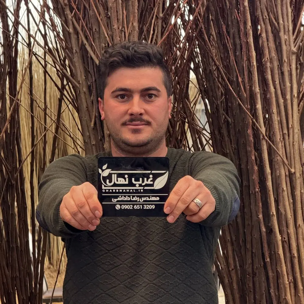 نهال،خريد،رايگان،مشاوره،قيمت،يكساله،–،خانم