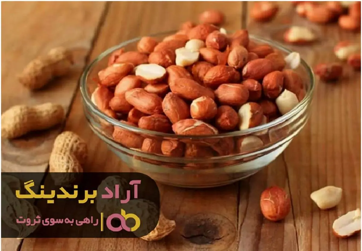 تا زمانی که بادام زمینی هست چرا پولدار نشوید