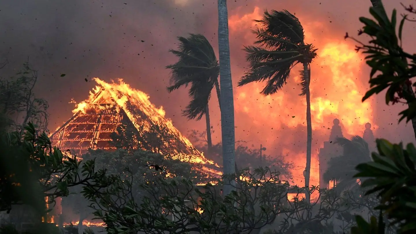 مرگ 114 نفر در آتش‌سوزی جنگل‌های هاوایی؛ 850 نفر مفقود شدند