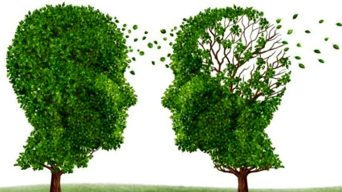 آلزایمر چه بلایی سر مغز می‌آورد؟