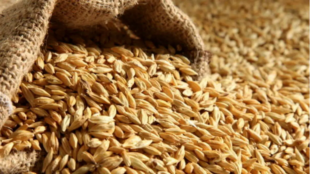 ارسال ۱۳۰ هزار تن گندم از طریق چابهار به افغانستان