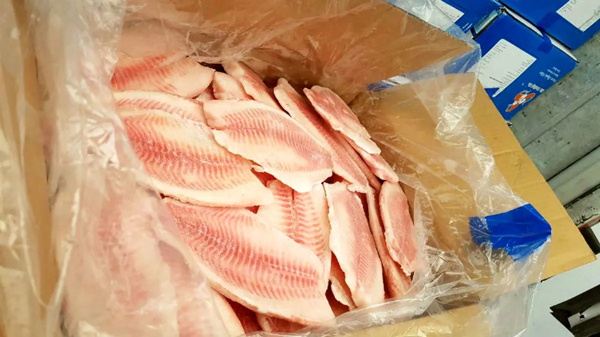واردات تیلاپیا ممنوع شد/ تولیدکنندگان ماهی‌های بومی باید بازار را اشباع کنند