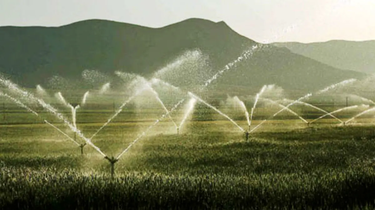 تغییر شیوه کشت و استفاده از تکنولوژی‎های نوین راهکار مدیریت منابع آب است