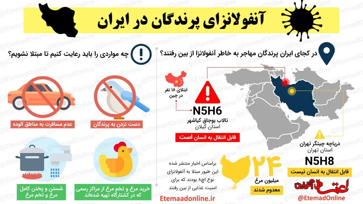 اینفوگرافیک| آنفولانزای پرندگان در ایران