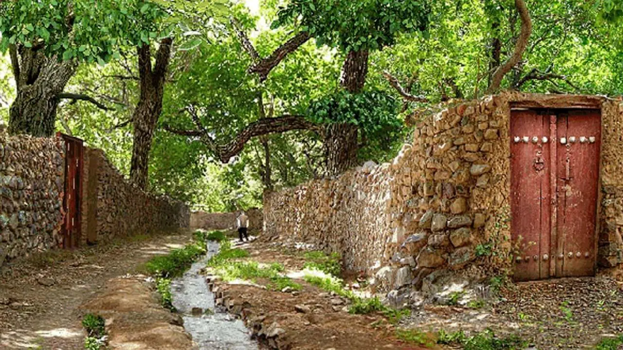900 هکتار از باغات کشور مسن و نیازمند بازسازی است