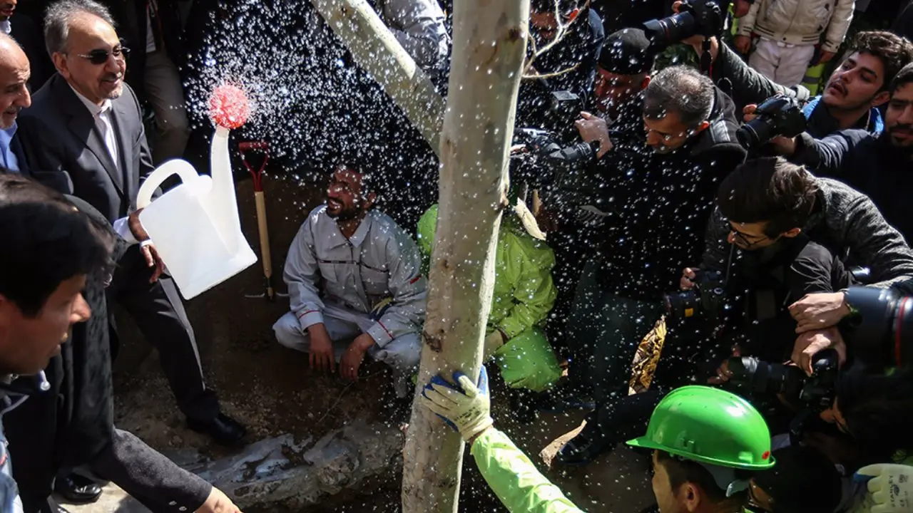 درخواست نجفی از شهروندان تهرانی برای پیوستن به کمپین درخت به جای سبزه