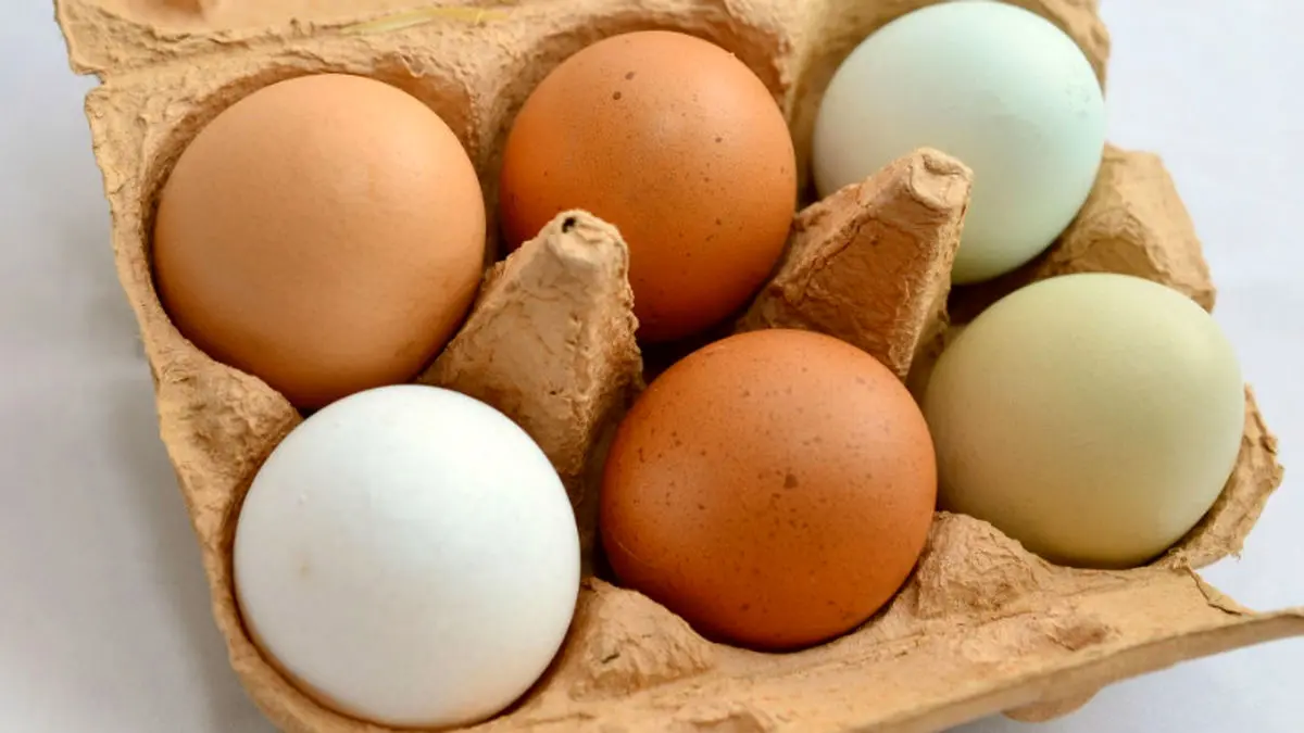قیمت انواع تخم مرغ کیلویی و بسته بندی در بازار+ جدول