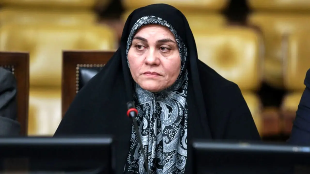 رئیس مجلس قول پیگیری وضعیت بازداشت‌شدگان اخیر را داده است