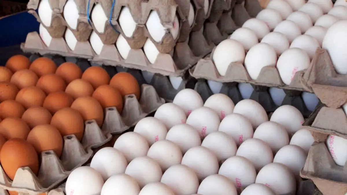 کاهش قیمت تخم‌مرغ در روزهای باقیمانده سال