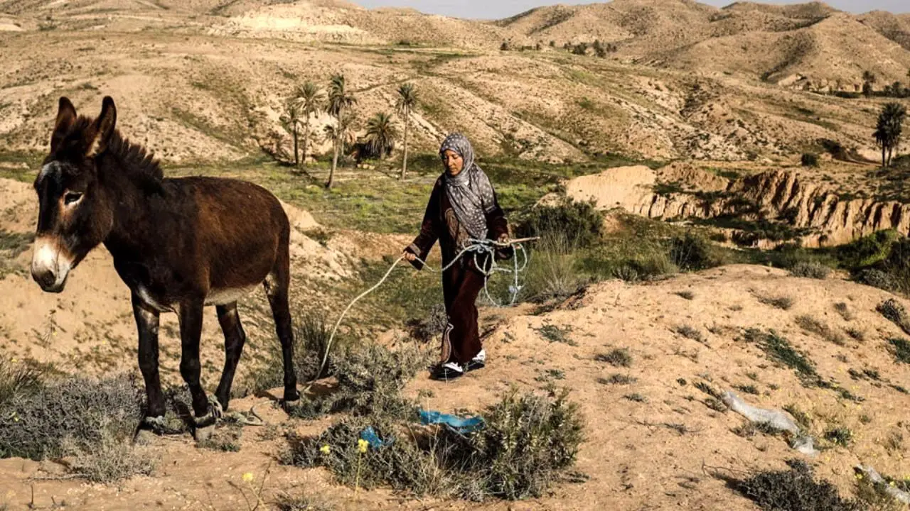 زندگی در زیر زمین در تونس‎