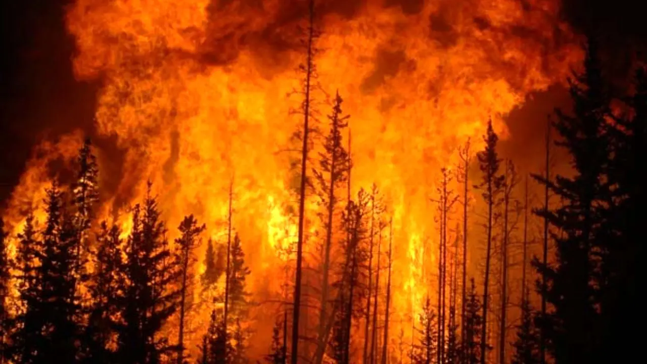 آتش به جان جنگل‌های گیلان افتاد
