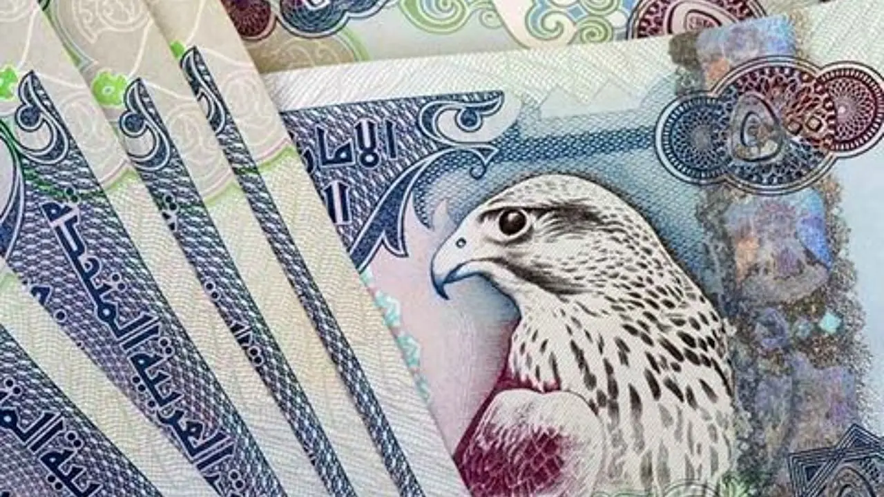 ضمانت بانک‌های اماراتی به 106 میلیارد دلار افزایش یافت