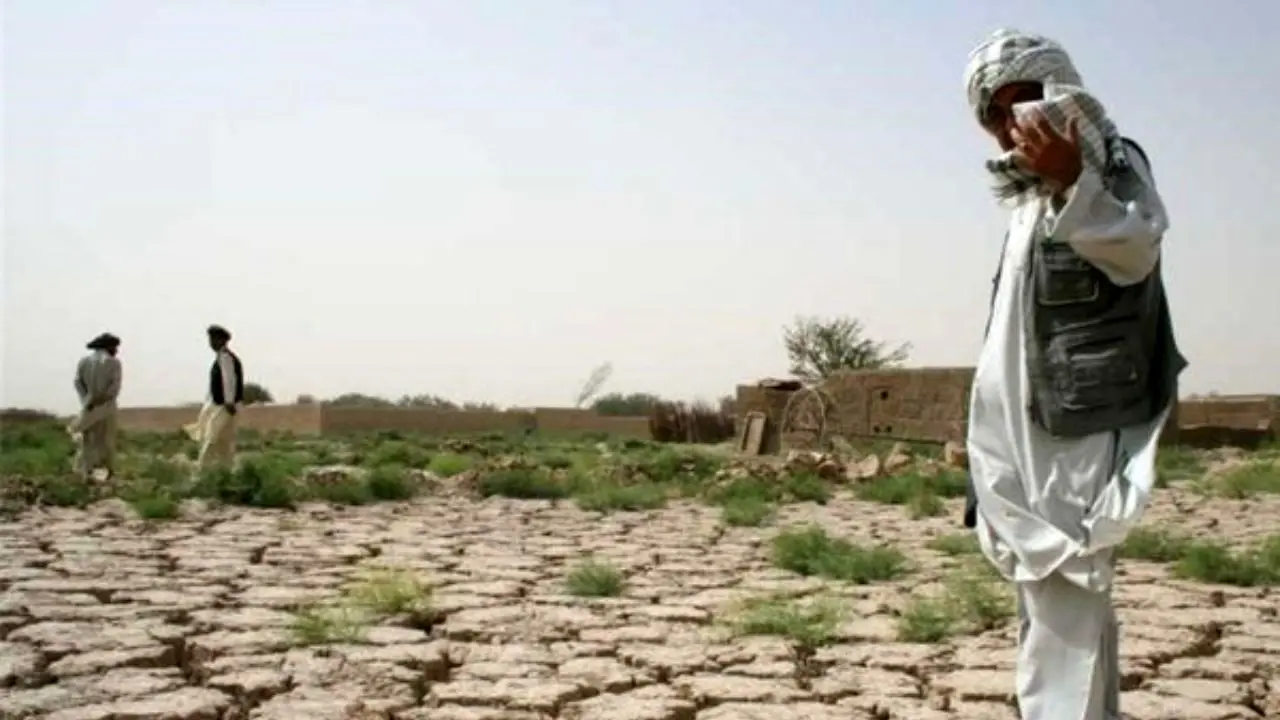 شمال سیستان و بلوچستان سال زراعی سختی پیش‌ رو دارد