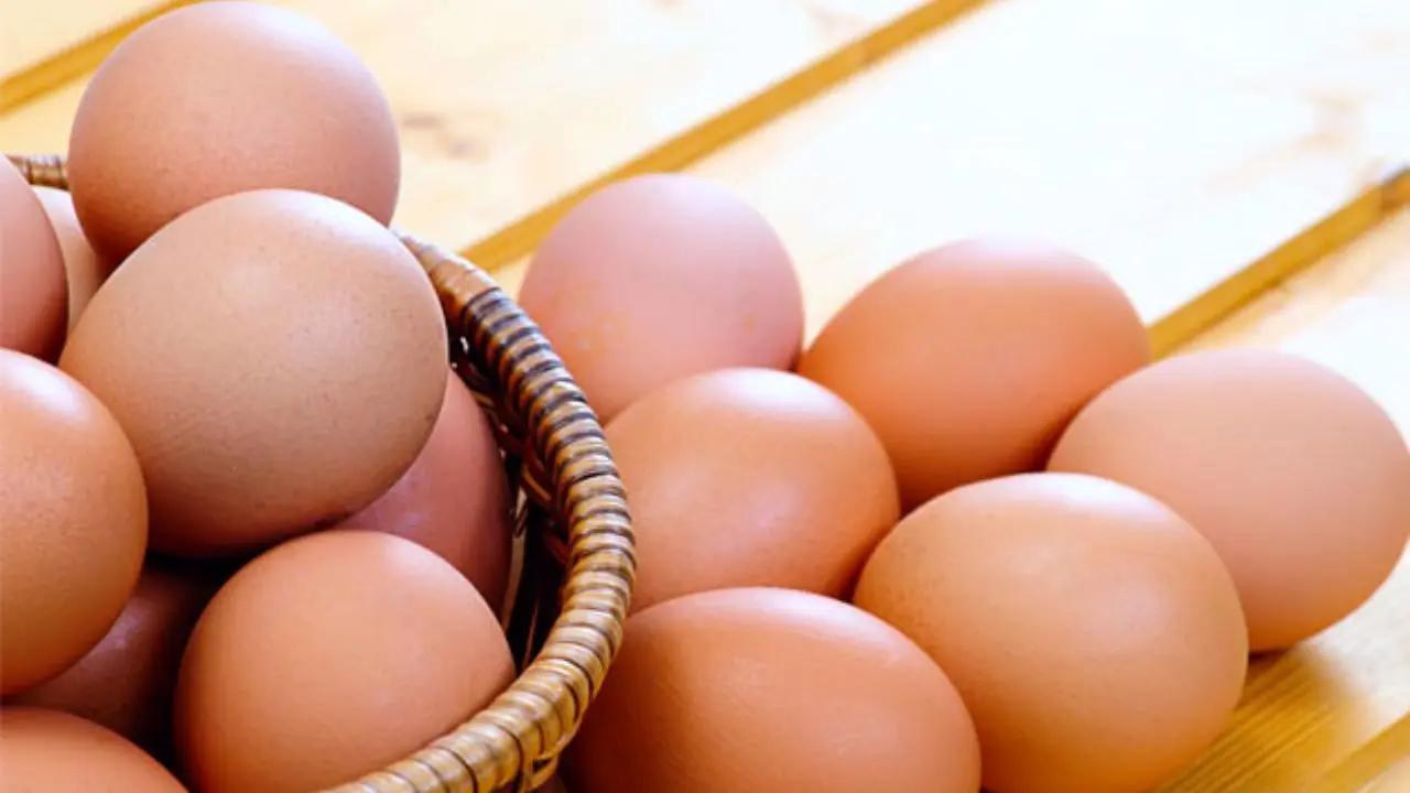 نوسانات ارز عامل افزایش جزئی قیمت تخم‌مرغ