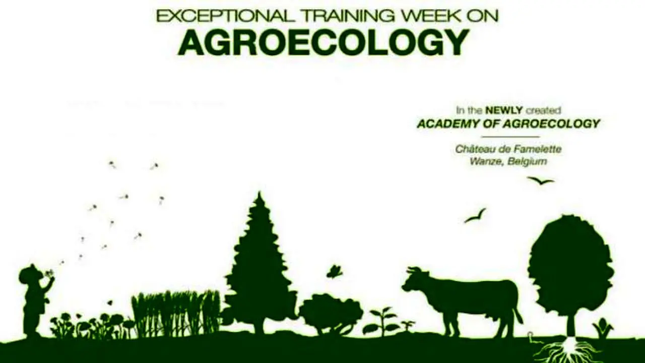 تاکید فائو بر اهمیت توسعه بوم شناسی کشاورزی در جهان