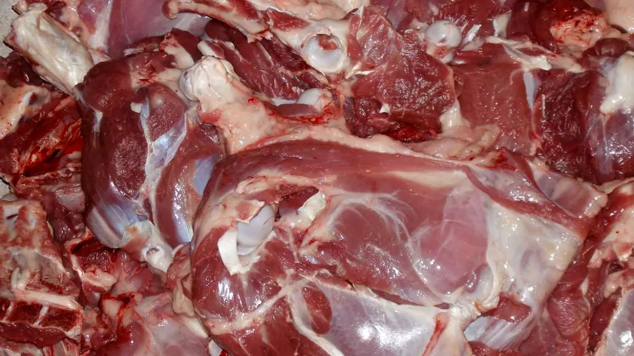 کمبود دام دلیل اصلی گرانی گوشت داخلی