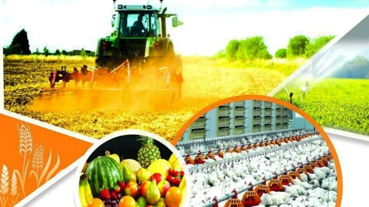 سهم 25 درصدی بخش کشاورزی در اشتغالزایی/ مسئولان از صادرات حمایت کنند