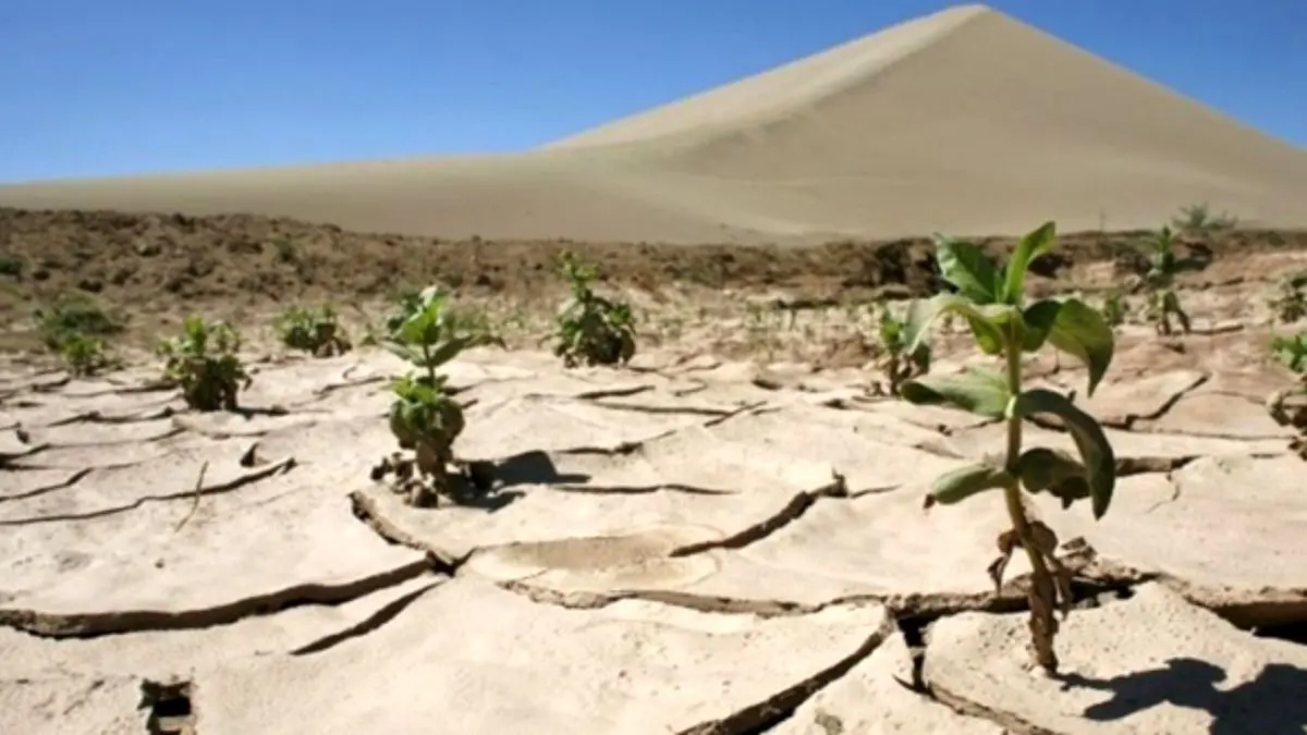 بیکاری 8 هزار کشاورز چابهاری بر اثر خشکسالی