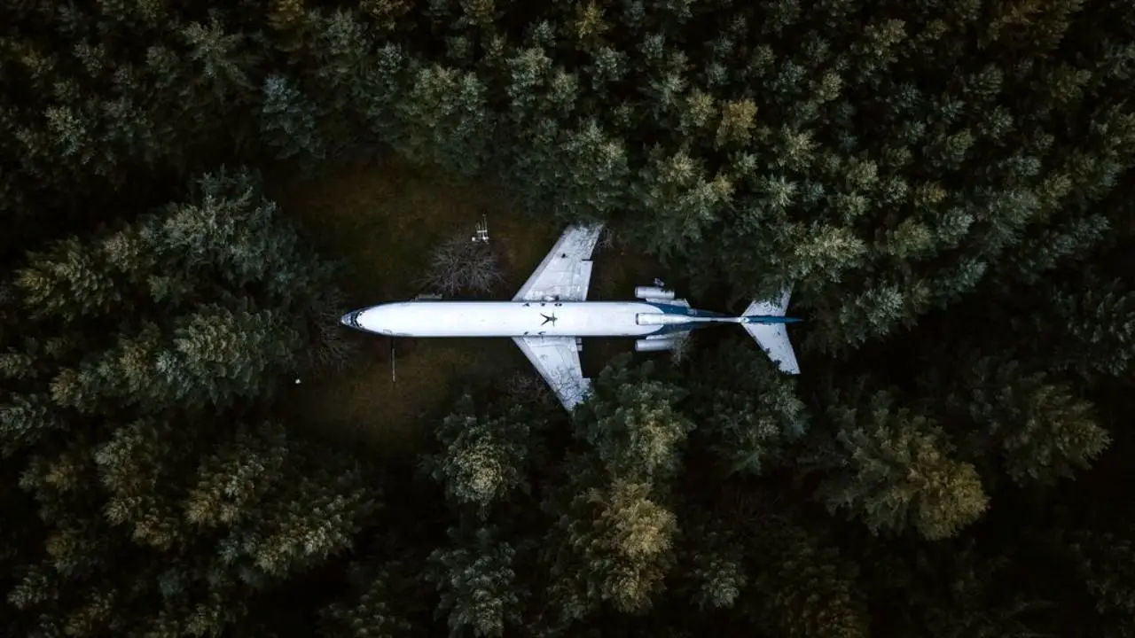 عکس روز نشنال جئوگرافیک، لاشه هواپیما در جنگل
