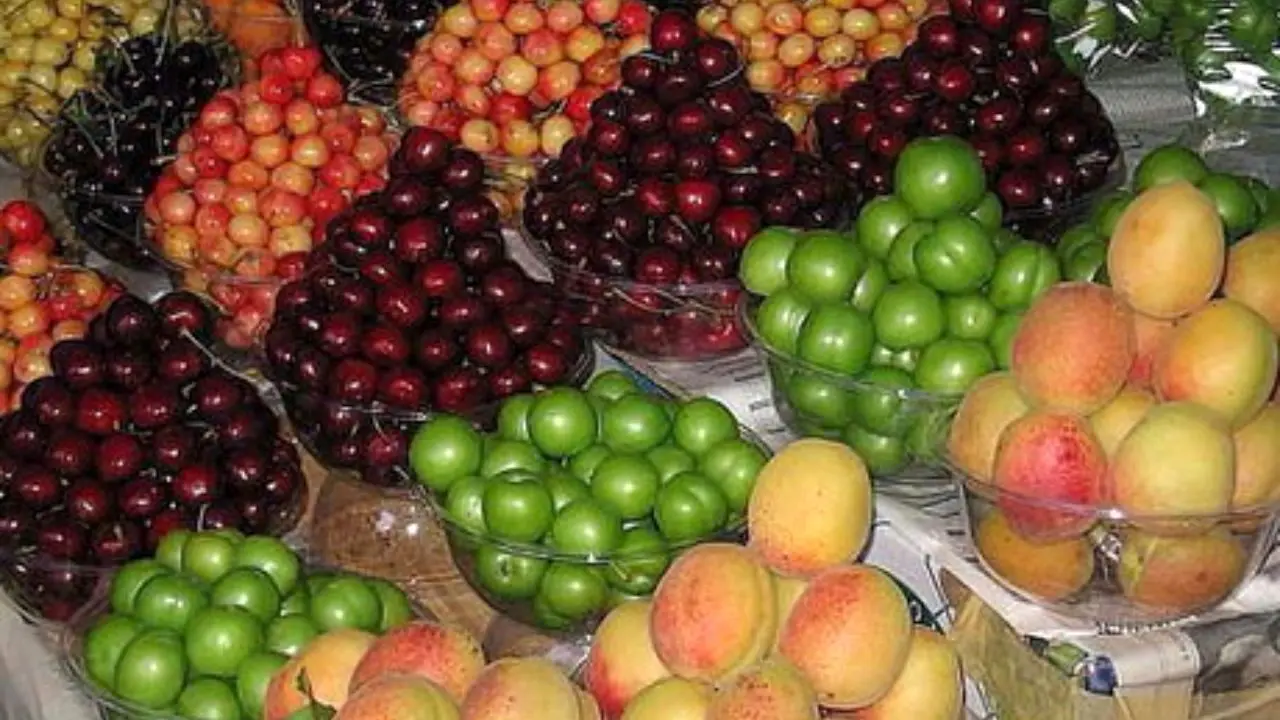 کاهش قیمت نوبرانه‌ها به زیر 10 هزار تومان/ کمبودی در عرضه میوه فصل نداریم