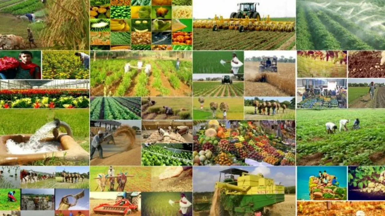 ضرورت توجه جدی‌تر مسئولان به بخش کشاورزی/ 27درصد اشتغال به بخش کشاورزی اختصاص دارد