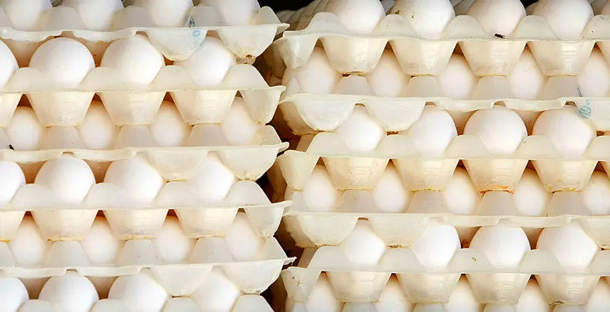 عرضه تخم مرغ وارداتی ضرورتی ندارد/نرخ هر کیلو تخم مرغ 5400 تومان