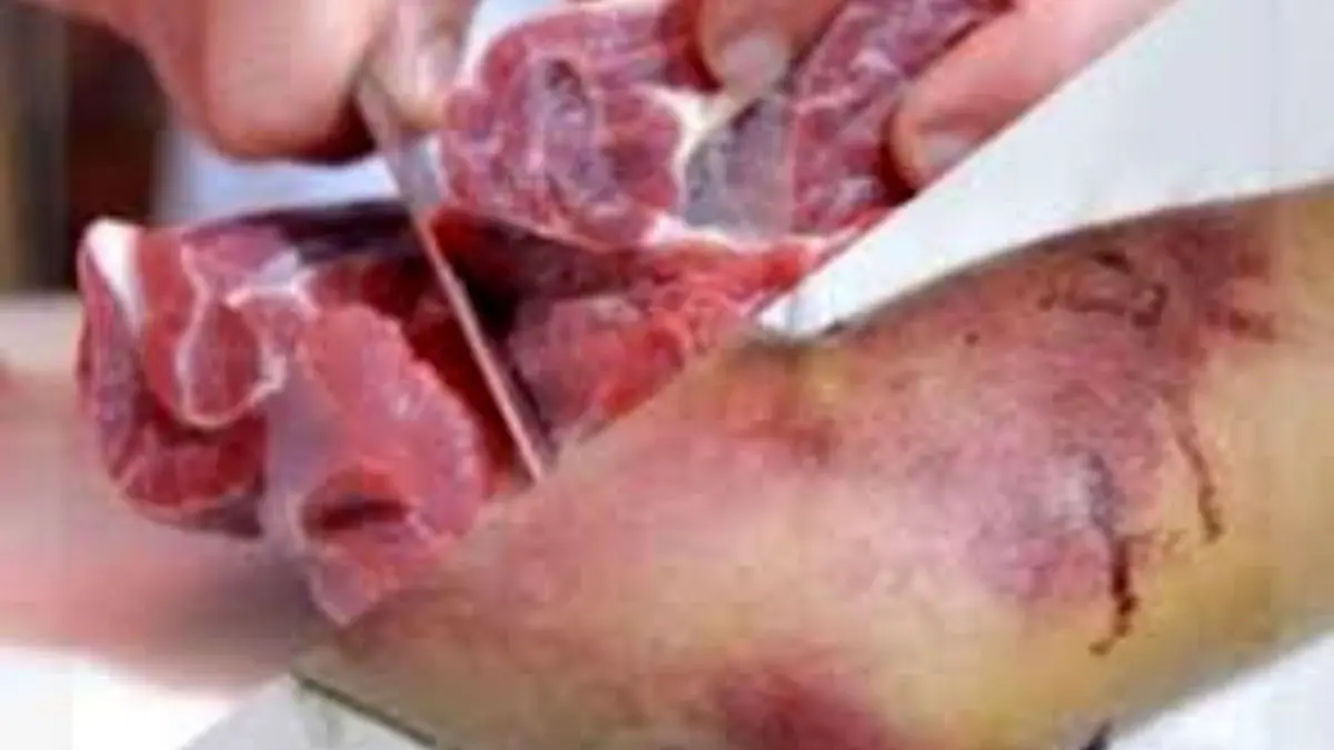 فرآورده‌های خام دامی، مهم‌ترین روش انتقال تب کریمه کنگو