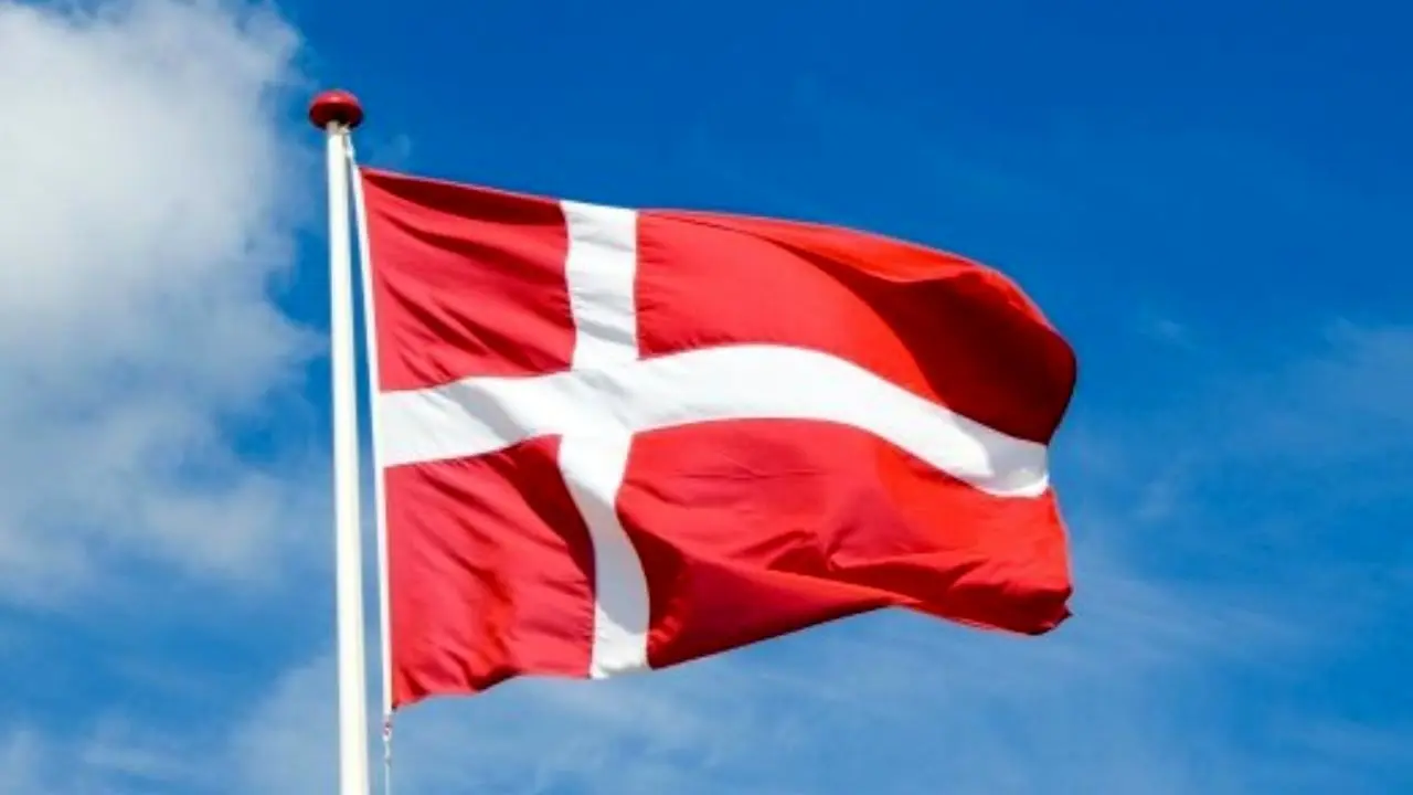 اختلاف‌نظر درباره تهدیدات کودکان داعش در دانمارک