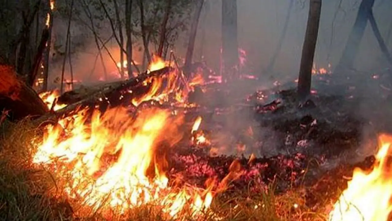 آتش سوزی در کمین جنگل‌های مازندران / هشدار خطر آتش سوزی جنگل‌ها به شهروندان و مسافران