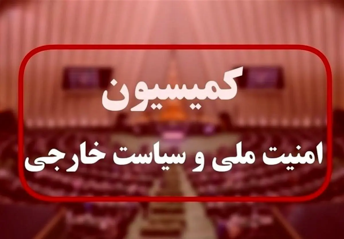 
لایحه حمایت از ایرانیان خارج از کشور نهایی شد
