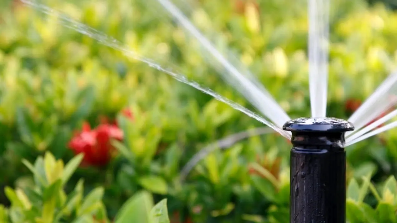 ممنوعیت استفاده از آب شرب در آب نماها و فضاهای سبز دشتستان