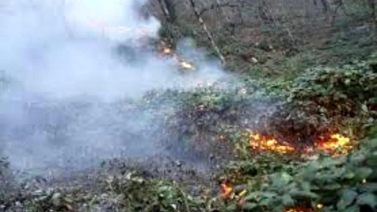 آتش به جان 50 هکتار از جنگل های بخش کومله لنگرود افتاد