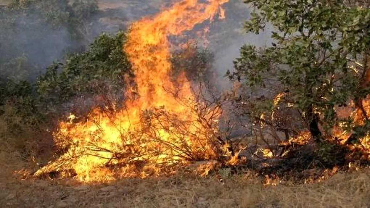 آتش به جان جنگل‌های گیلانغرب افتاد