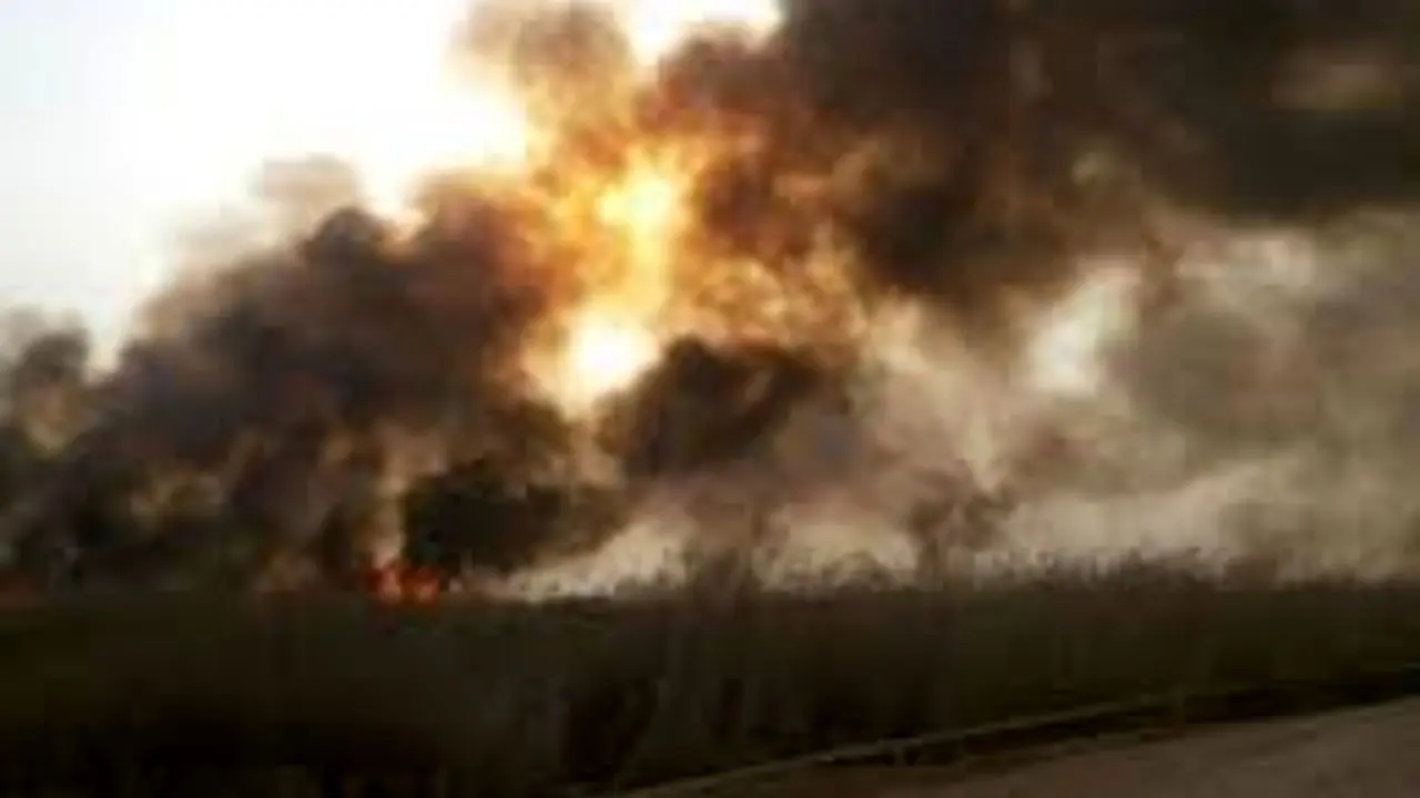 آتش‌سوزی هورالعظیم از سوی دولت عراق پیگیری خواهد شد