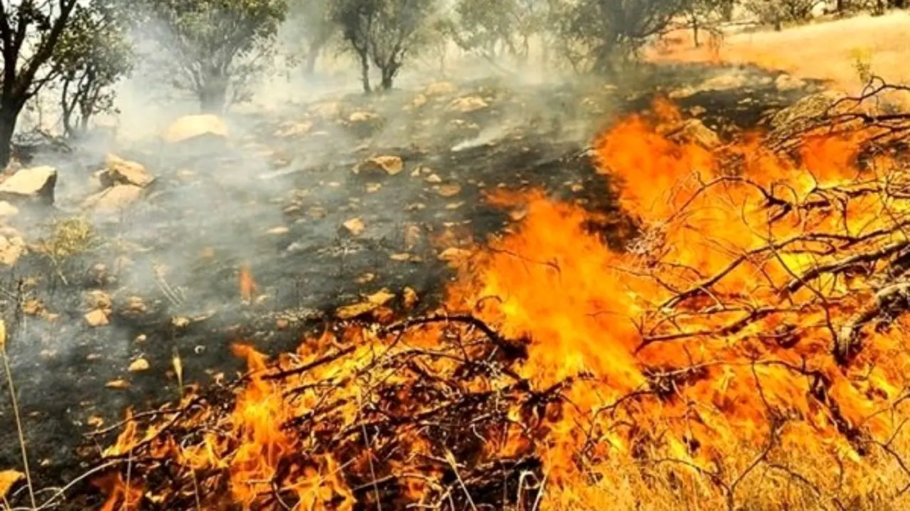 اراضی و مراتع جنگلی کلاله در آتش می‌سوزد