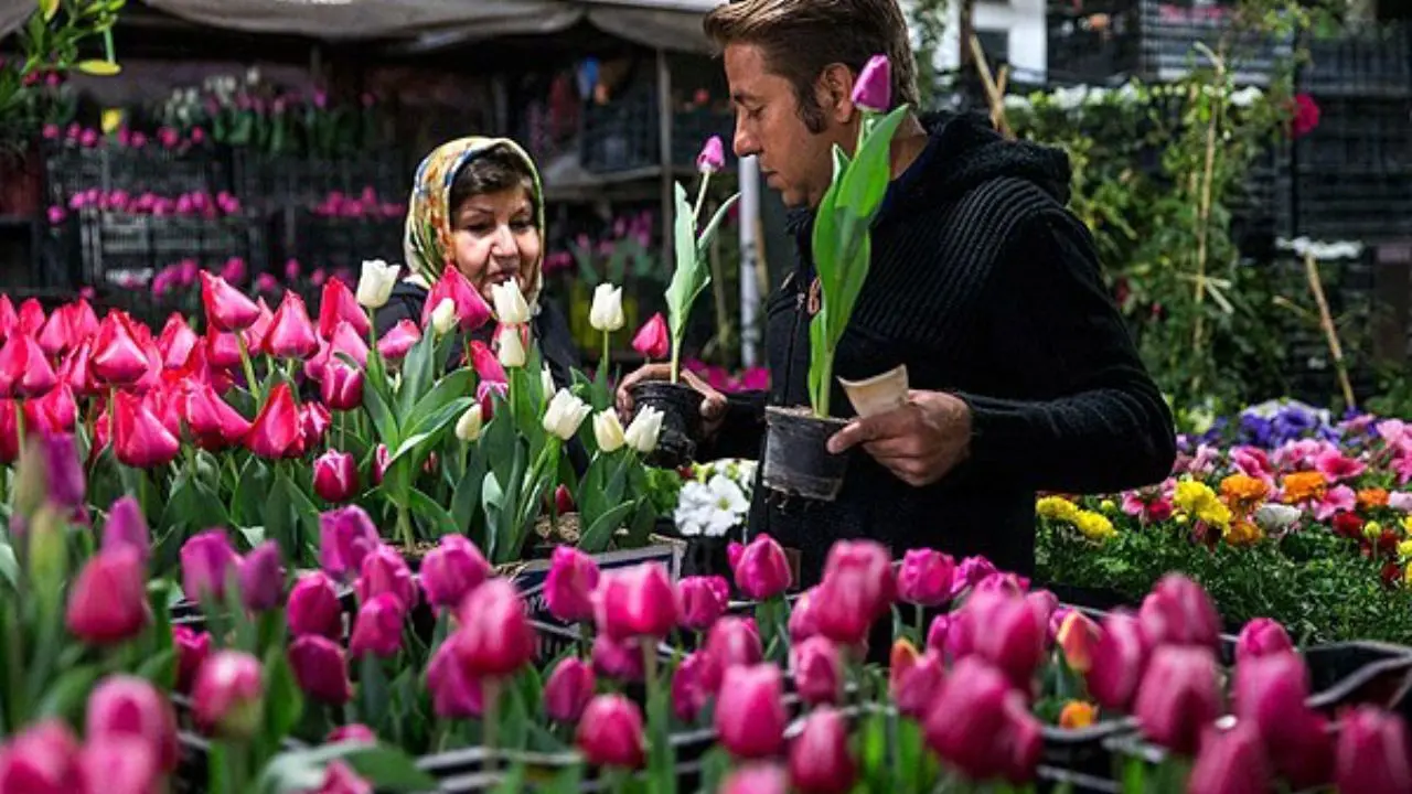 بهای گل در ایران شش برابر هلند