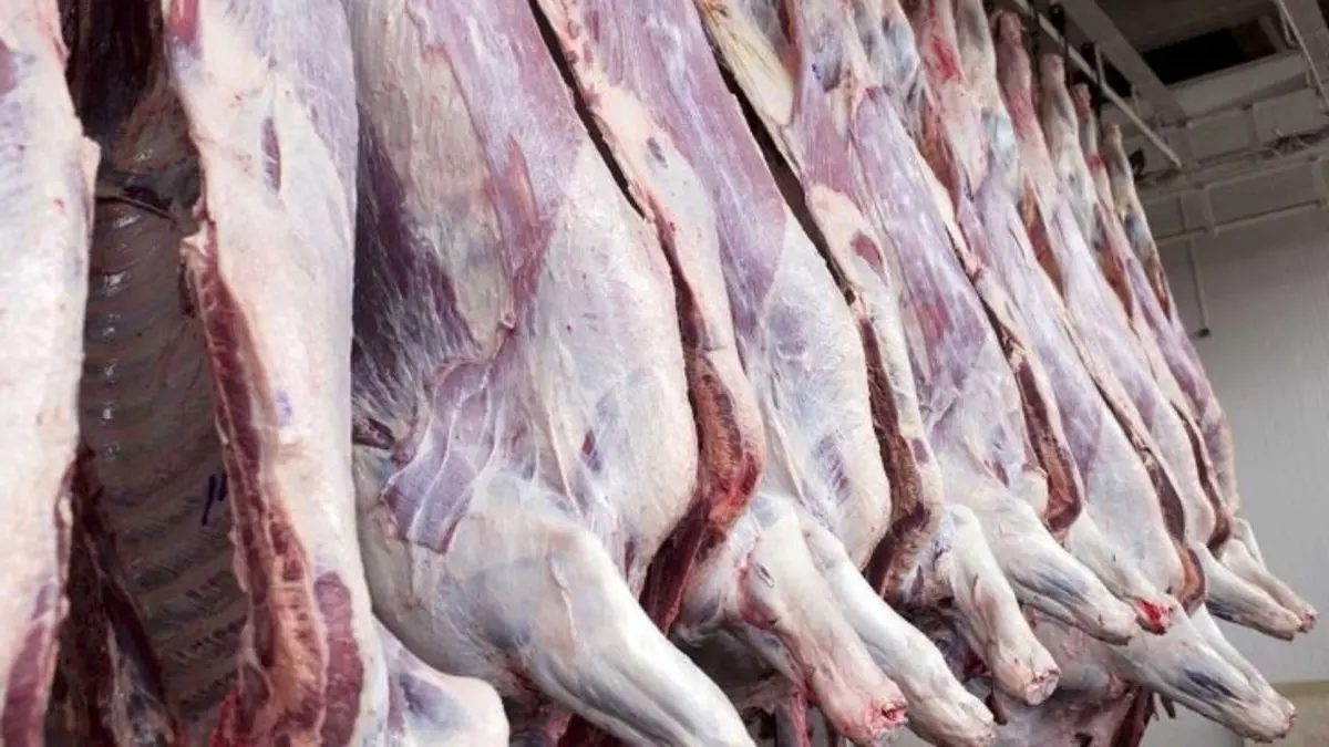 شبکه توزیع گوشت گرم وارداتی، باید شفاف سازی شود