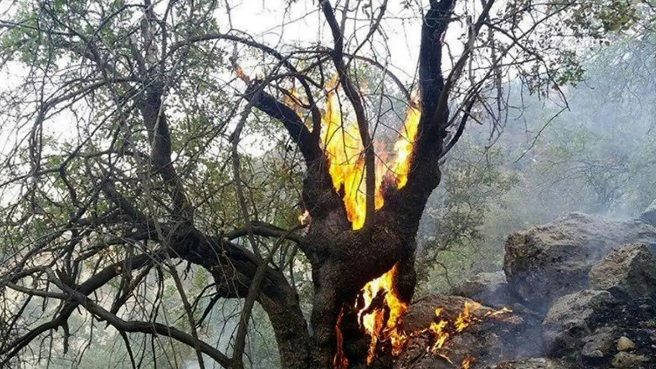 وزش باد شدید مانع مهار آتش در ارتفاعات فیروزآباد/ عامل انسانی علت وقوع آتش