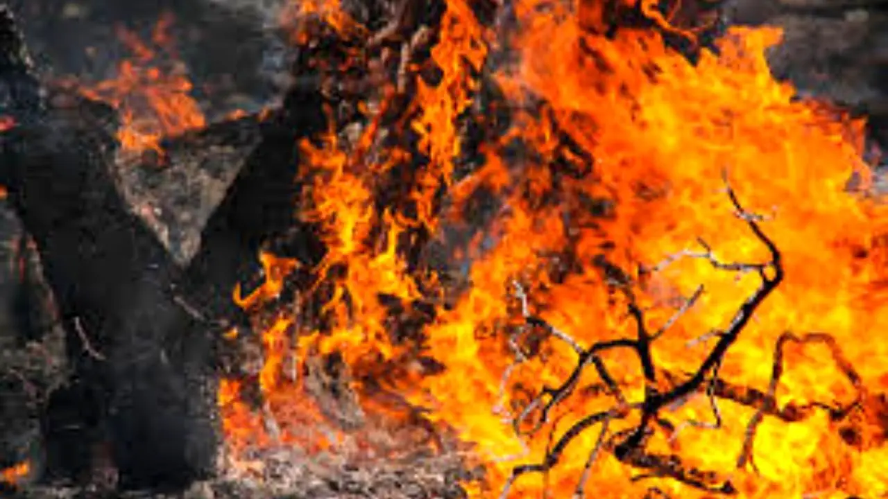 اعزام نیرو و بالگرد برای مهار آتش در برز فیروز آباد