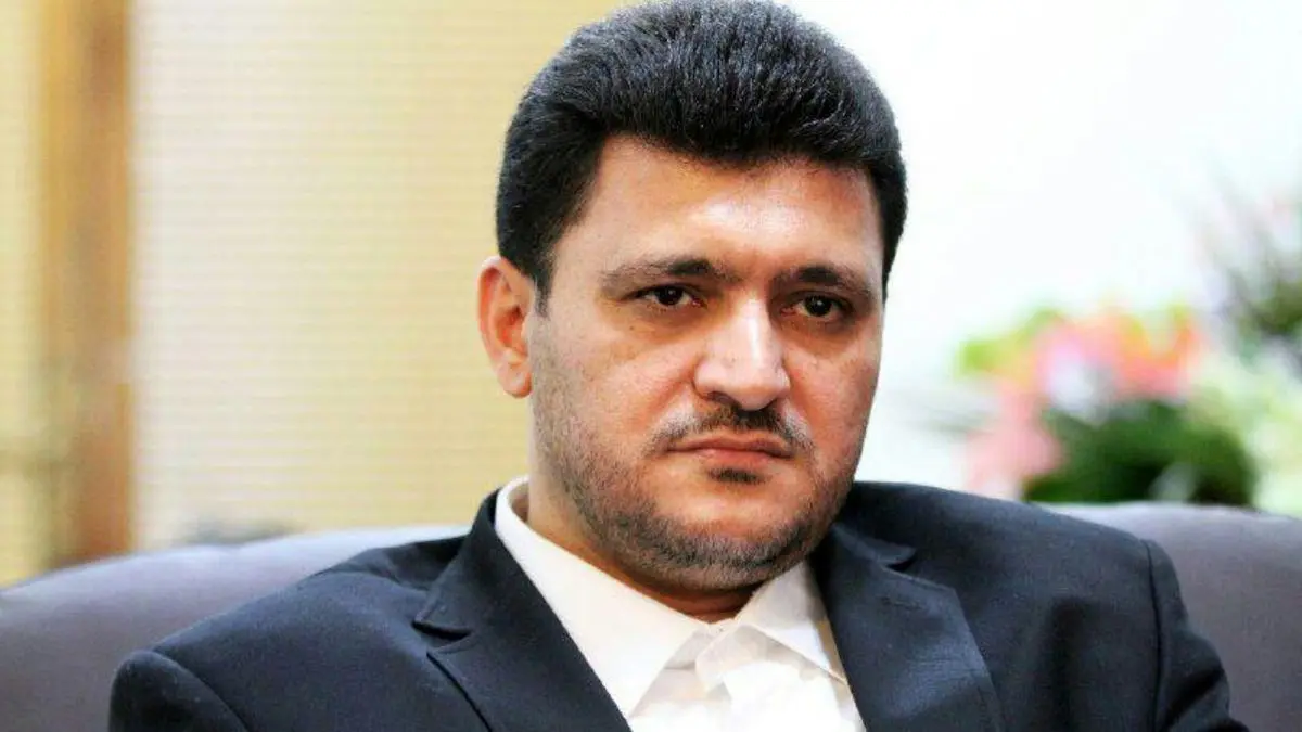 بانک مرکزی نباید در توزیع ارز و سکه دست داشته باشد