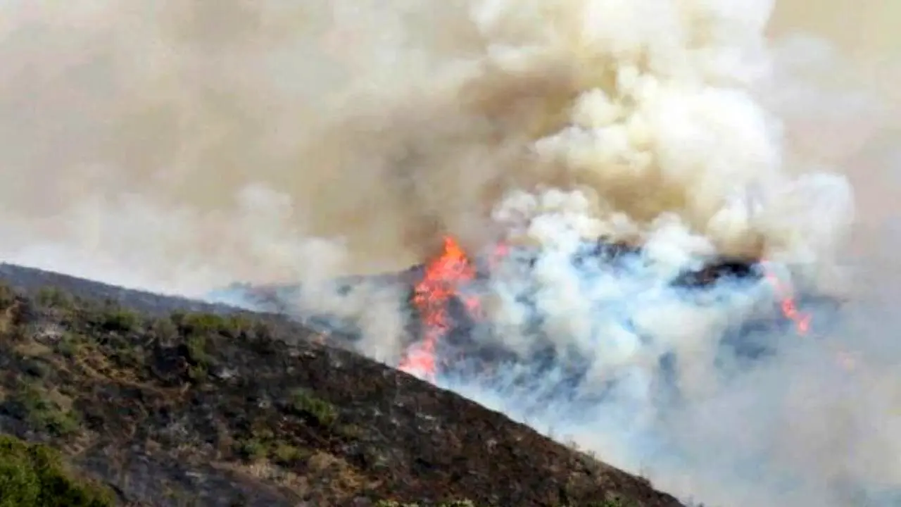 250 هکتار از اراضی جنگلی و مرتعی گلستان در آتش سوخت